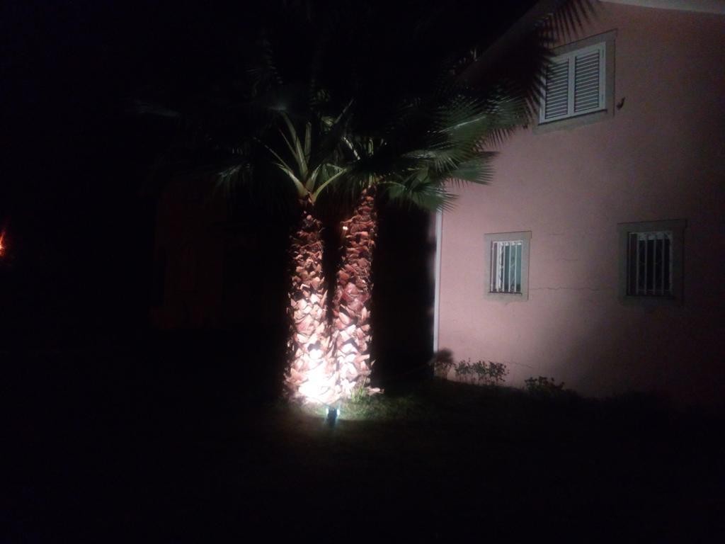 Casa Do Soito Hotel Mangualde Eksteriør billede