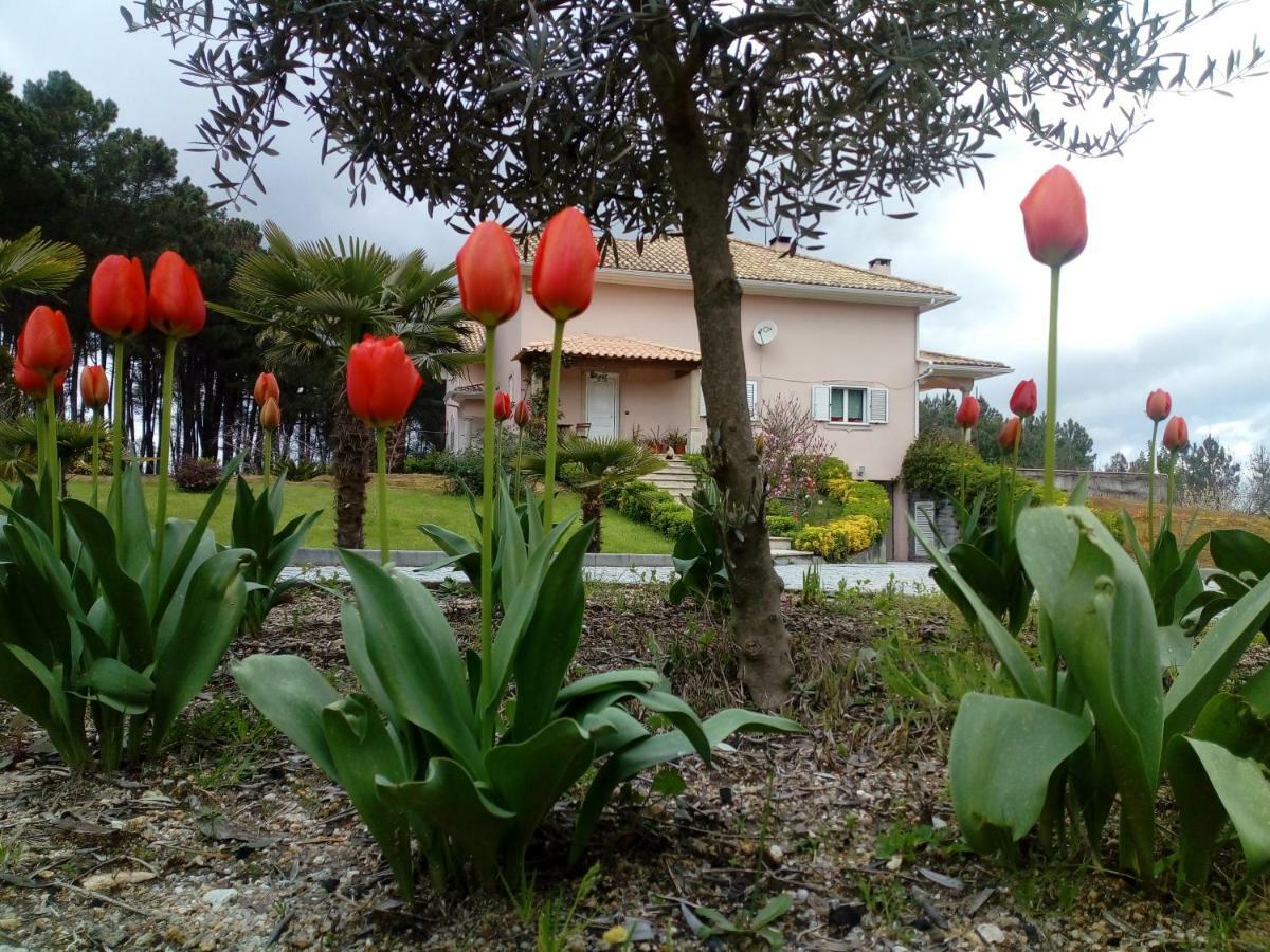 Casa Do Soito Hotel Mangualde Eksteriør billede