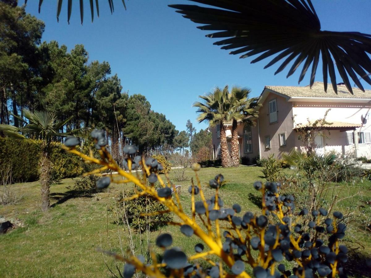Casa Do Soito Hotel Mangualde Eksteriør billede